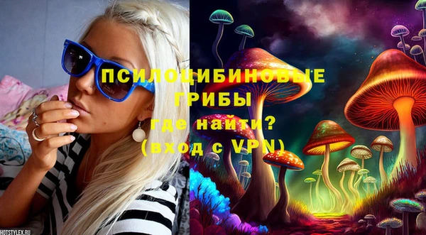 дурь Белоозёрский