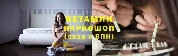 крисы Алексин