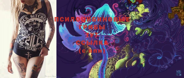 PSILOCYBIN Алзамай