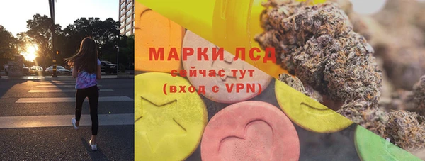 PSILOCYBIN Алзамай