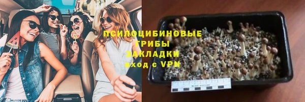 крисы Алексин