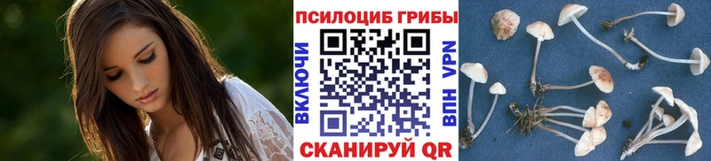 купить наркоту  Коломна  Галлюциногенные грибы GOLDEN TEACHER 